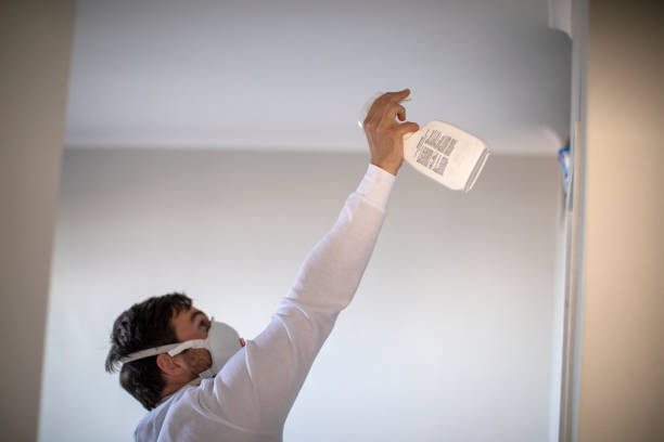 Best Best Mold Removal Companies  in Wilsons Mills, NC
