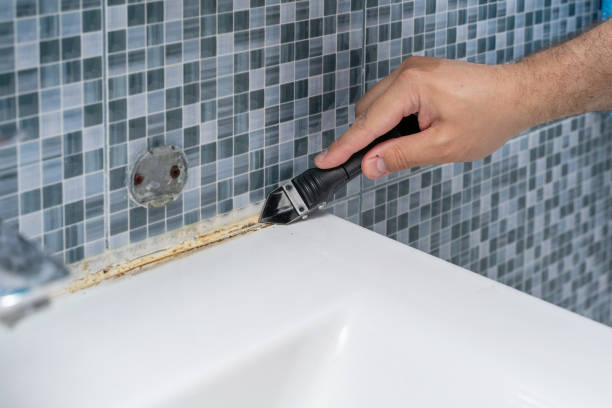 Best Mold Removal Near Me  in Wilsons Mills, NC
